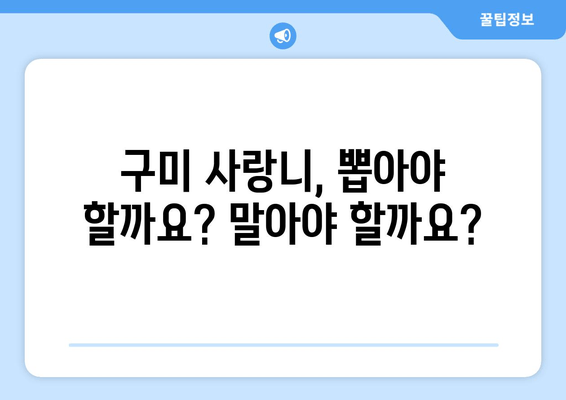 구미 사랑니 치료, 어디서 어떻게? 치과 선택 가이드 | 사랑니 발치, 구미 치과 추천, 사랑니 통증 해결