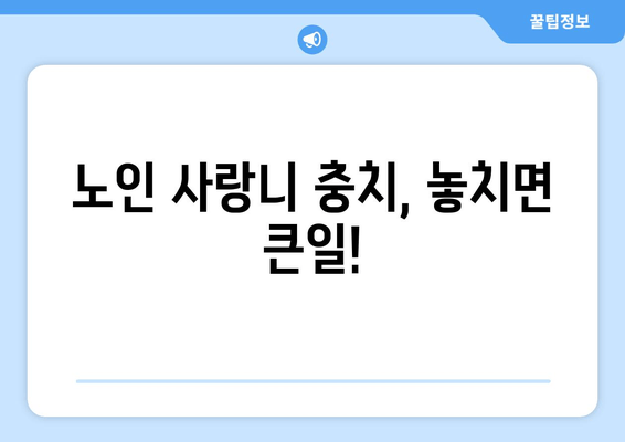 노인 사랑니 충치, 놓치지 말아야 할 특별 관리법 | 사랑니, 충치, 노년, 치과 관리, 주의사항