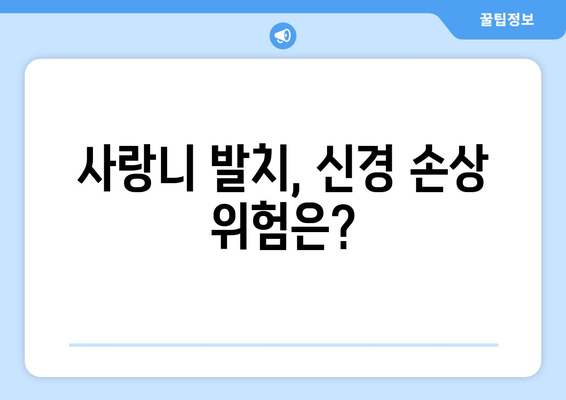 신경에 가까운 사랑니 발치, 안전하게 하는 방법 | 사랑니 발치 주의사항, 신경 손상 예방, 회복 팁