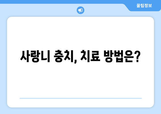 사랑니 충치, 치료 가능할까요? | 사랑니 충치 증상, 치료 방법, 예방법