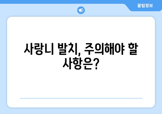사랑니 발치, 꼭 알아야 할 핵심 정보 7가지 | 사랑니 발치, 통증, 부작용, 회복, 주의사항, 치과, 비용