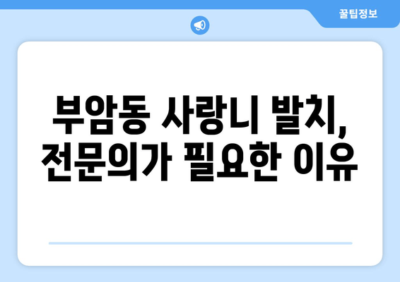 부암동 사랑니 발치, 구강외과 전문의가 중요한 이유 | 사랑니 발치, 구강외과, 전문의, 부암동