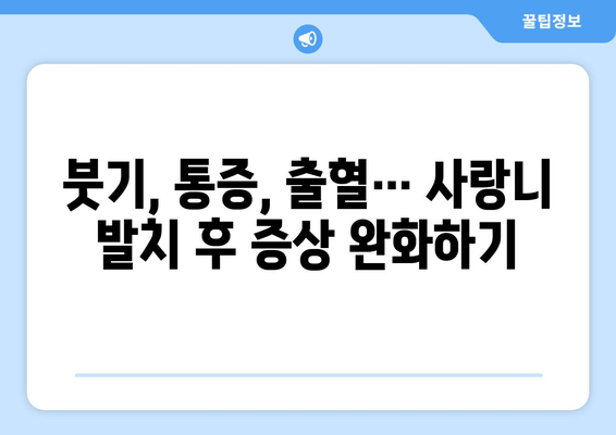 사랑니 발치 후 완벽 관리 가이드| 주의 사항, 관리 방법, 팁까지 | 사랑니, 발치, 통증, 회복, 관리