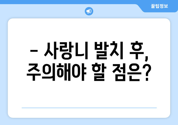 사랑니 발치, 언제 해야 할까요? | 사랑니 발치 결정 요인, 사랑니 통증, 사랑니 관리