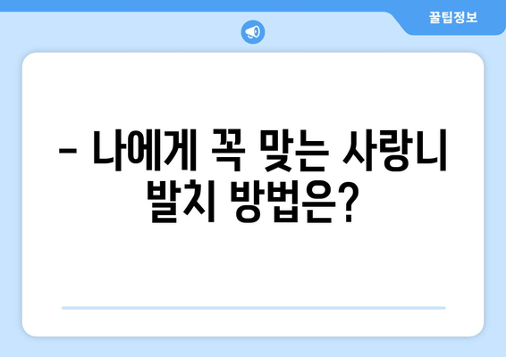 사랑니 발치 수술 계획, 왜 중요할까요? | 성공적인 발치를 위한 핵심 가이드