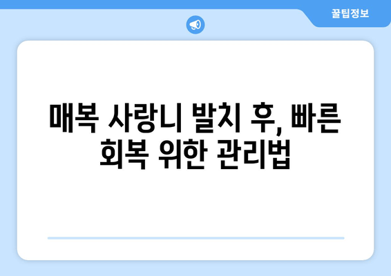 매복 사랑니, 안전하고 편안하게 발치하기| 걱정 말고 전문의에게 맡기세요 | 사랑니 발치, 매복 사랑니, 치과, 발치 과정, 안전, 통증, 회복