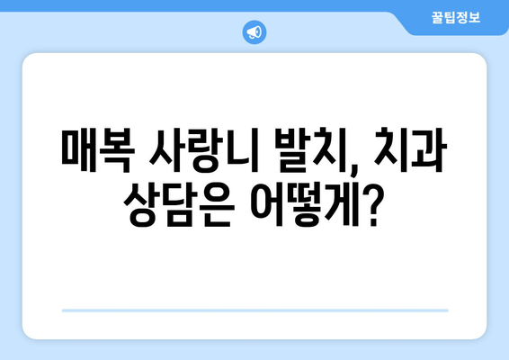 매복 사랑니 발치 전 꼭 알아야 할 5가지 필수 확인 사항 | 사랑니 발치, 주의사항, 준비물, 치과 상담