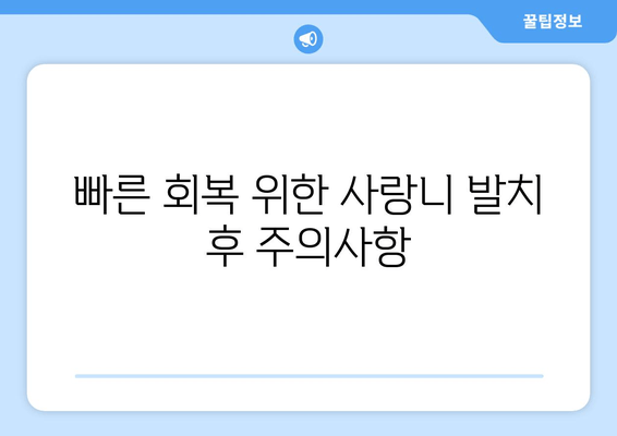 매복 사랑니 발치 후 염증, 이렇게 치료하세요! | 사랑니 발치, 염증 관리, 통증 완화, 회복 가이드