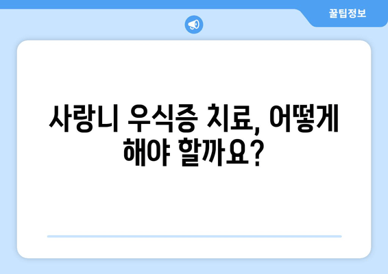 사랑니 우식증, 침묵의 위협| 예방과 관리의 완벽 가이드 | 사랑니, 우식증, 치아 건강, 치과, 구강 관리