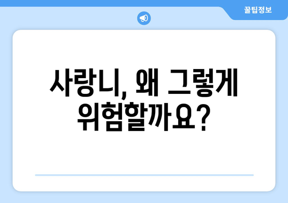 사랑니 충치, 감염 위험성! 놓치면 안 될 관리법 | 사랑니, 충치, 감염, 치과 관리, 구강 건강