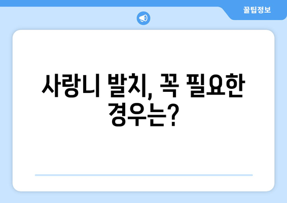 사랑니 발치, 꼭 해야 할까요? | 사랑니 발치 필수성, 장단점 비교, 발치 시기