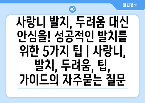 사랑니 발치, 두려움 대신 안심을! 성공적인 발치를 위한 5가지 팁 | 사랑니, 발치, 두려움, 팁, 가이드