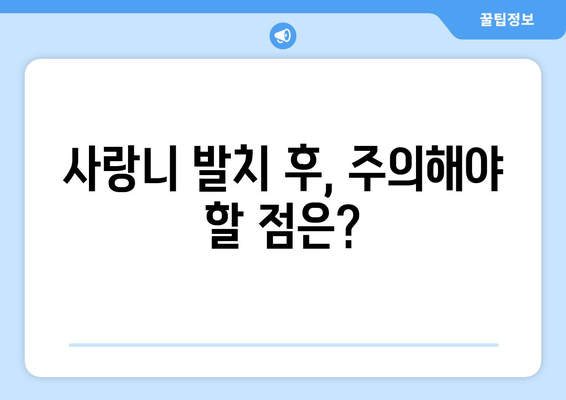 매복 사랑니 수술, 이것만은 꼭 알아야 합니다! | 사랑니 발치, 고려 사항, 선택 가이드