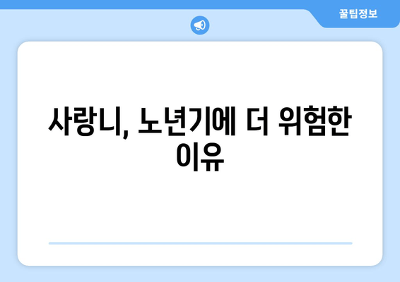 노인 사랑니 충치, 놓치지 말아야 할 특별 관리법 | 사랑니, 충치, 노년, 치과 관리, 주의사항