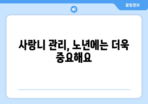 노인 사랑니 충치, 놓치지 말아야 할 특별 관리법 | 사랑니, 충치, 노년, 치과 관리, 주의사항