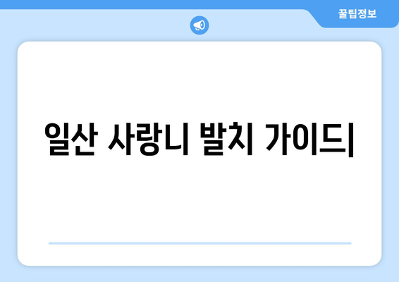 일산 사랑니 발치, 안전하고 편안하게! 믿을 수 있는 치과 선택 가이드 | 매복 사랑니, 발치, 치과 추천, 일산