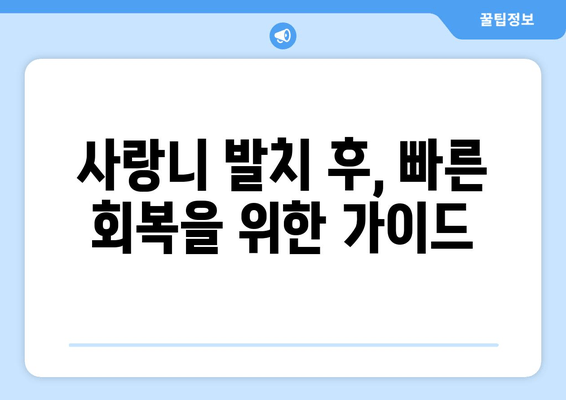 사랑니 통증 극복, 두려움을 이겨내는 5가지 방법 | 사랑니, 통증, 두려움, 극복, 팁