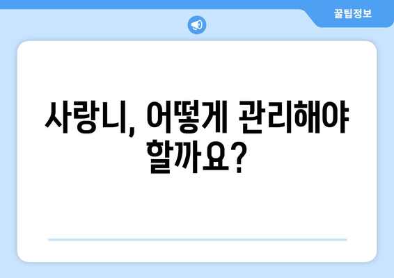 사랑니, 이제 걱정하지 마세요! | 사랑니 치과 정보 한눈에 보기