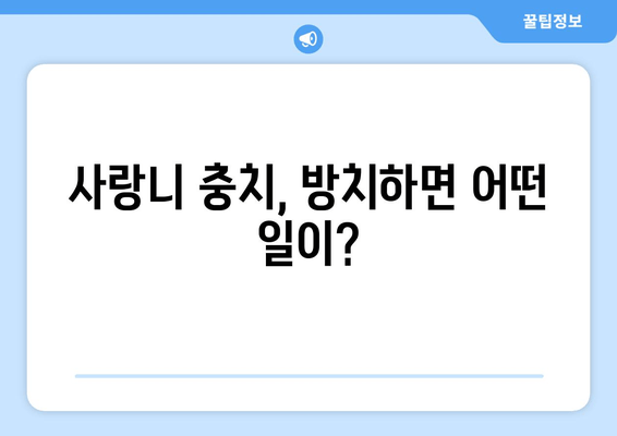 사랑니 충치, 방치하면 정말 위험할까요? | 사랑니 통증, 사랑니 발치, 치과 진료, 치료