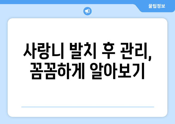 부산 사랑니 발치, 어디서 할까요?  | 사랑니 치과 비교 분석 & 추천 가이드