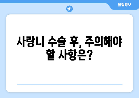 매복 사랑니 수술 전 꼭 알아야 할 7가지 확인 사항 | 사랑니 발치, 수술 전 주의사항, 치과 상담