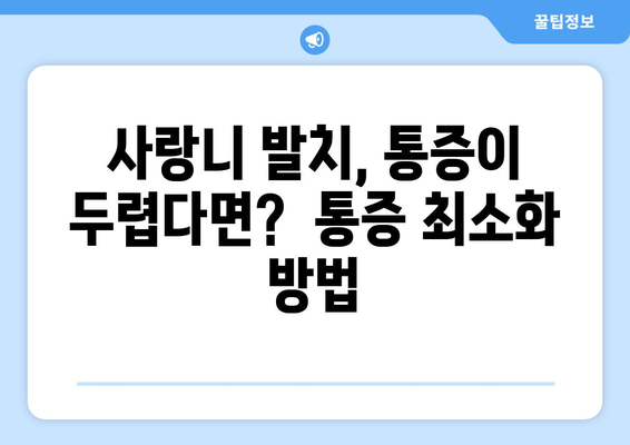 사랑니 조기 발치 고민? 꼭 알아야 할 정보 | 사랑니, 발치, 치과, 통증, 예방