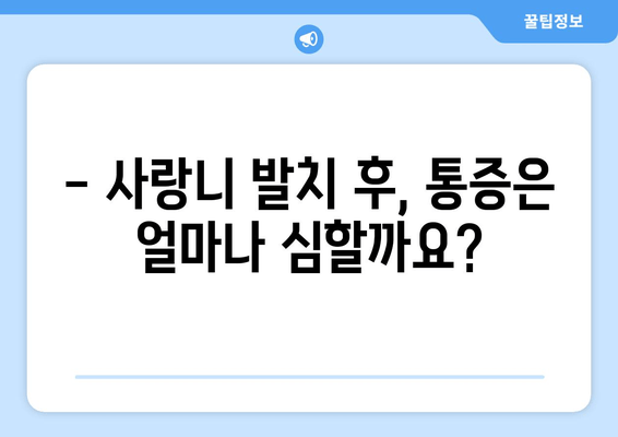 사랑니 발치 전 꼭 알아야 할 정보| 절차부터 주의사항까지 | 사랑니, 발치, 통증, 회복