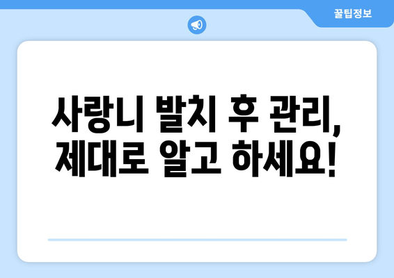 서면 사랑니 치과, 사례별 맞춤 안내| 발치부터 관리까지 | 사랑니, 서면 치과, 발치, 통증, 치료, 관리
