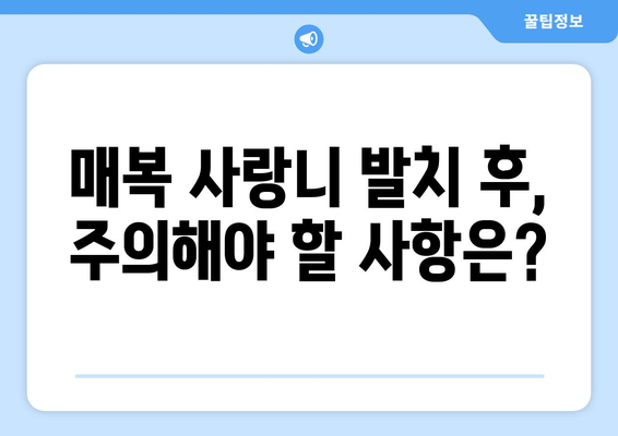 매복 사랑니, 치료 전 꼭 알아야 할 5가지 필수 사항 | 사랑니 발치, 매복 사랑니 증상, 치료 방법, 주의 사항