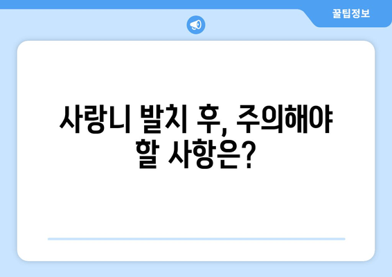 사랑니 치과 처치, 두려워 말고 지혜롭게 대처하세요! | 사랑니 발치, 통증 완화, 치과 치료 팁