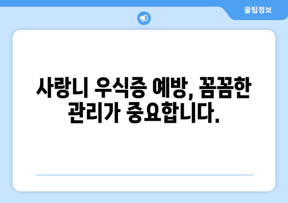 사랑니 우식증, 침묵의 위협| 예방과 관리의 완벽 가이드 | 사랑니, 우식증, 치아 건강, 치과, 구강 관리