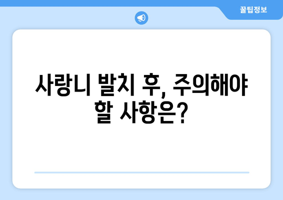 사랑니 발치, 꼭 알아야 할 필수 사항과 주의점 | 사랑니, 발치, 통증, 관리, 주의사항