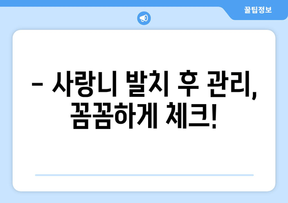 비정상적으로 자란 사랑니, 안전하게 제거하는 방법 | 사랑니 발치, 사랑니 제거 수술, 사랑니 통증