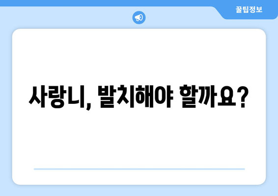 사랑니, 비정상적으로 자랐을 때? 치과에서 어떻게 대처해야 할까요? | 사랑니 발치, 사랑니 통증, 사랑니 관리