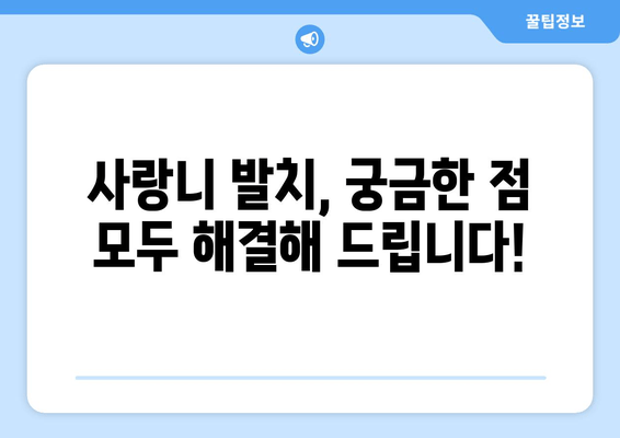 사랑니, 뽑아야 할까요? 말아야 할까요? | 사랑니 발치, 사랑니 치료, 사랑니 통증, 사랑니 관리