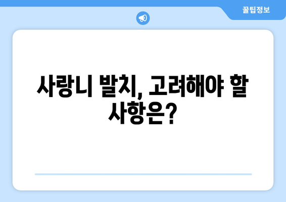 매복 사랑니 수술, 이것만은 꼭 알아야 합니다! | 사랑니 발치, 고려 사항, 선택 가이드