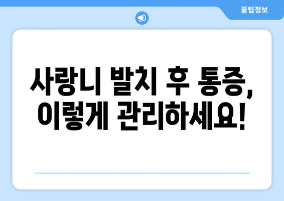 사랑니 발치 후 빠른 회복을 위한 7가지 주의 사항 | 통증 완화, 부기 감소, 회복 가이드