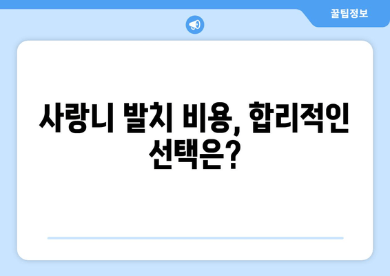 사랑니 발치, 어디서 할까? 치과 선택 가이드 | 사랑니, 발치, 비용, 후기, 추천