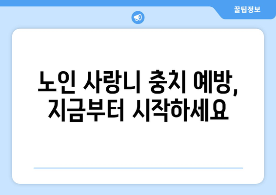 노인 사랑니 충치, 놓치지 말아야 할 특별 관리법 | 사랑니, 충치, 노년, 치과 관리, 주의사항