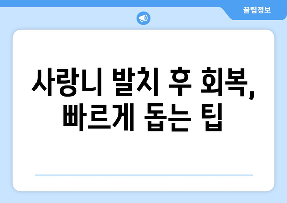 신경에 가까운 사랑니 발치, 안전하게 하는 방법 | 사랑니 발치 주의사항, 신경 손상 예방, 회복 팁