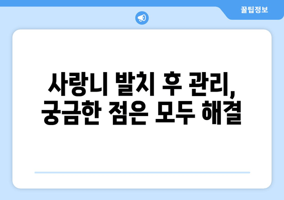 수면 치과에서 안전하고 편안하게 사랑니를 뽑는 방법 | 사랑니 발치, 수면 마취, 통증 없이