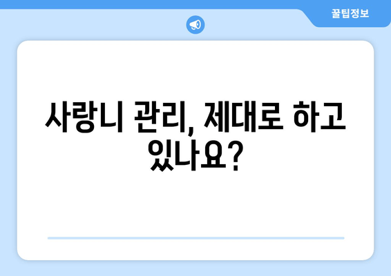 사랑니, 뽑아야 할까? 말아야 할까? | 사랑니 관리, 사랑니 발치, 사랑니 통증, 사랑니 치료