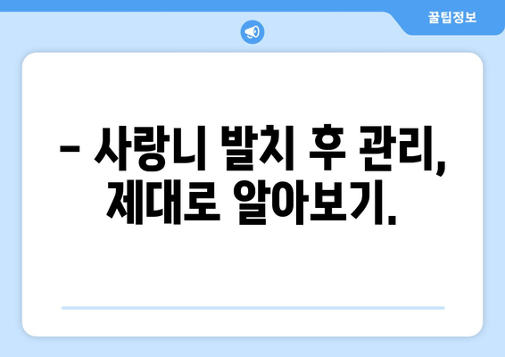 안산 사랑니 통증, 더 악화되기 전에 해결하세요! | 사랑니 발치, 치과 추천, 통증 완화 팁