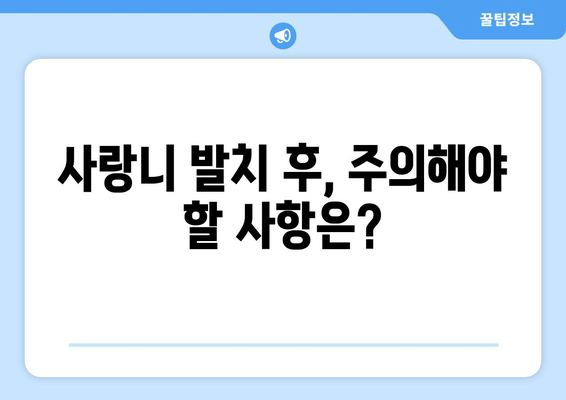 매복 사랑니 치료 전 꼭 알아야 할 5가지 필수 사항 | 사랑니 발치, 통증, 부작용, 치료 과정, 주의 사항