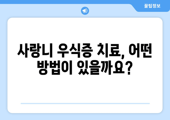 사랑니 우식증, 이제 걱정하지 마세요! 치료 옵션 완벽 가이드 | 사랑니, 우식증, 치료, 솔루션