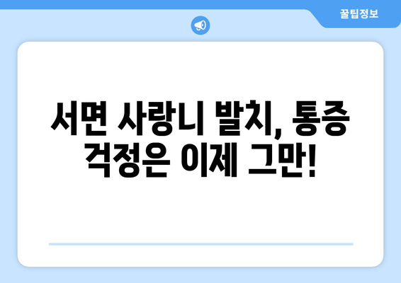 서면 사랑니 치과, 사례별 맞춤 안내| 발치부터 관리까지 | 사랑니, 서면 치과, 발치, 통증, 치료, 관리