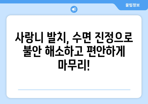 사랑니 발치, 수면 진정으로 편안하게! 불안 해소 가이드 | 사랑니, 발치, 수면 진정, 불안 해소, 치과