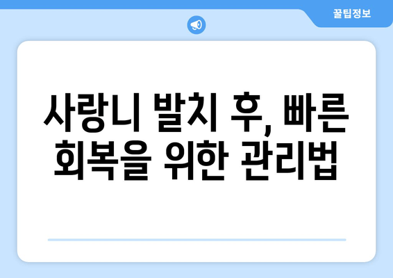 사랑니 발치 후 꼭 알아야 할 7가지 주의사항 | 사랑니 발치, 회복, 부작용, 관리