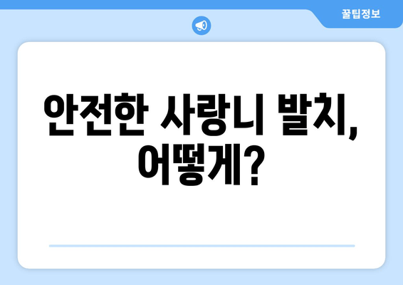 신경에 가까운 사랑니 발치, 안전하게 하는 방법 | 사랑니 발치 주의사항, 신경 손상 예방, 회복 팁