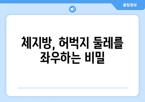 허벅지 굵기의 숨겨진 비밀| 당신의 체형을 밝혀줄 5가지 요인 | 허벅지, 체형, 몸매, 비만, 건강